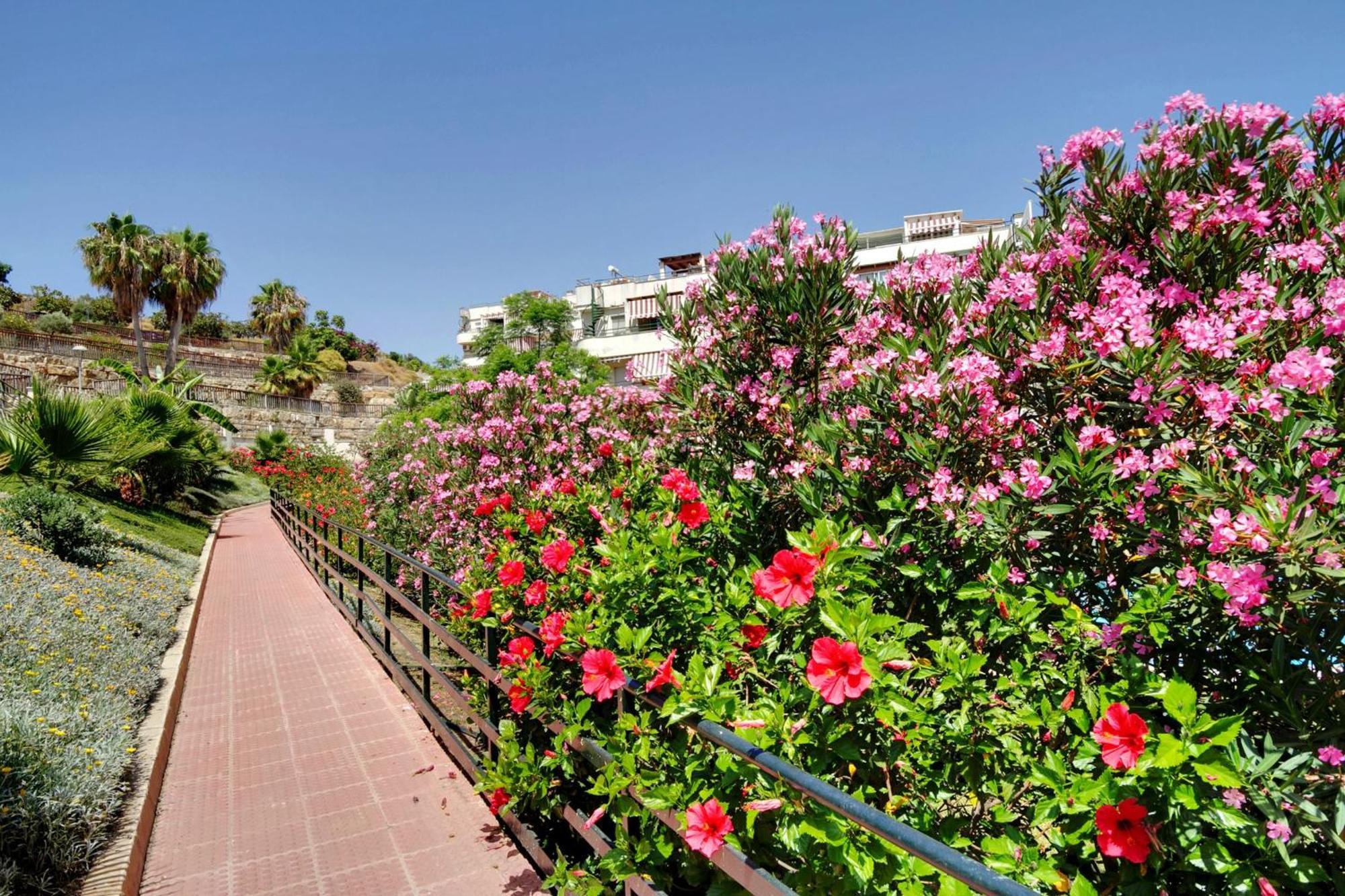 Del Parque Flats - Golf & Beach Terrace Malaga Exterior photo
